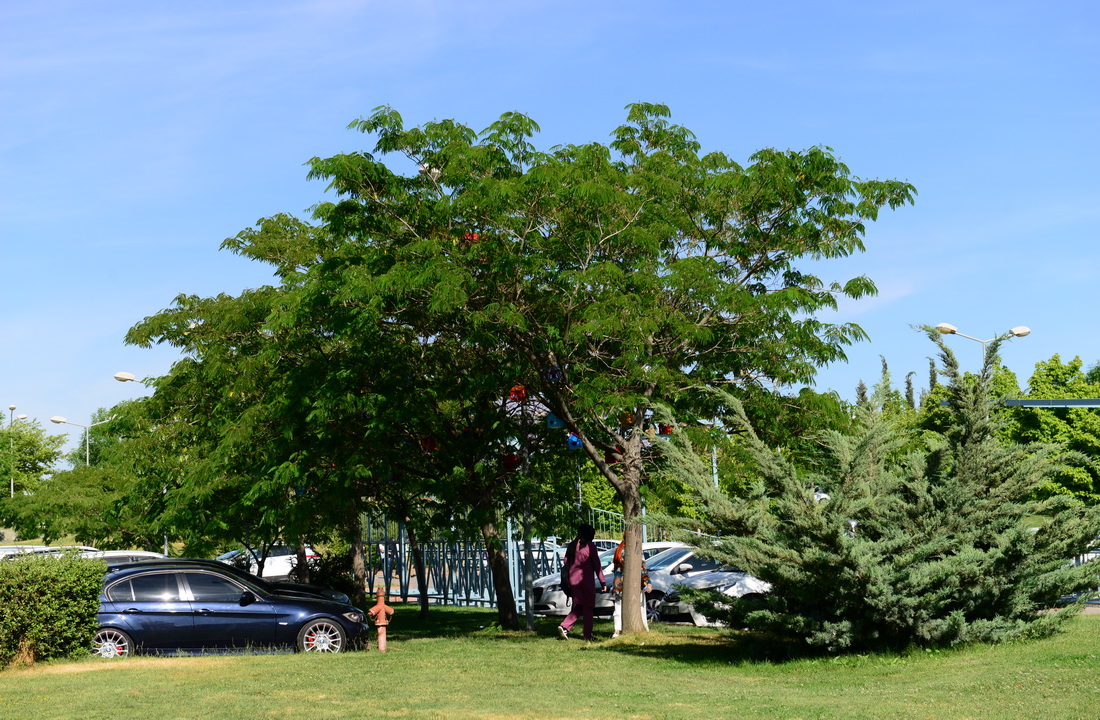 İçerikle ilgili görsel 5