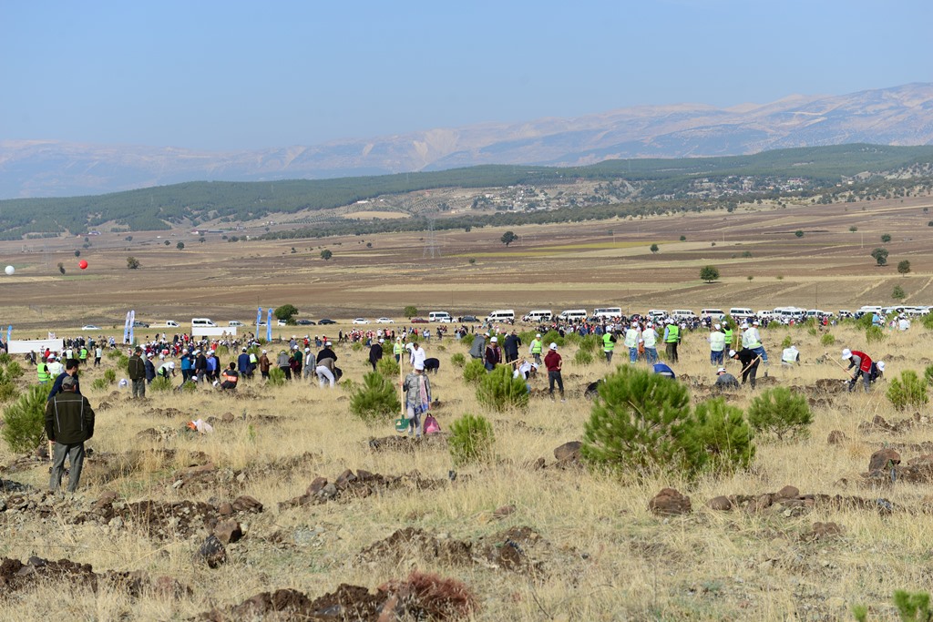 İçerikle ilgili görsel 3