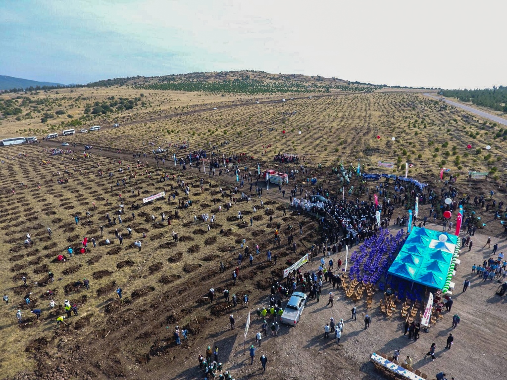 İçerikle ilgili görsel 16