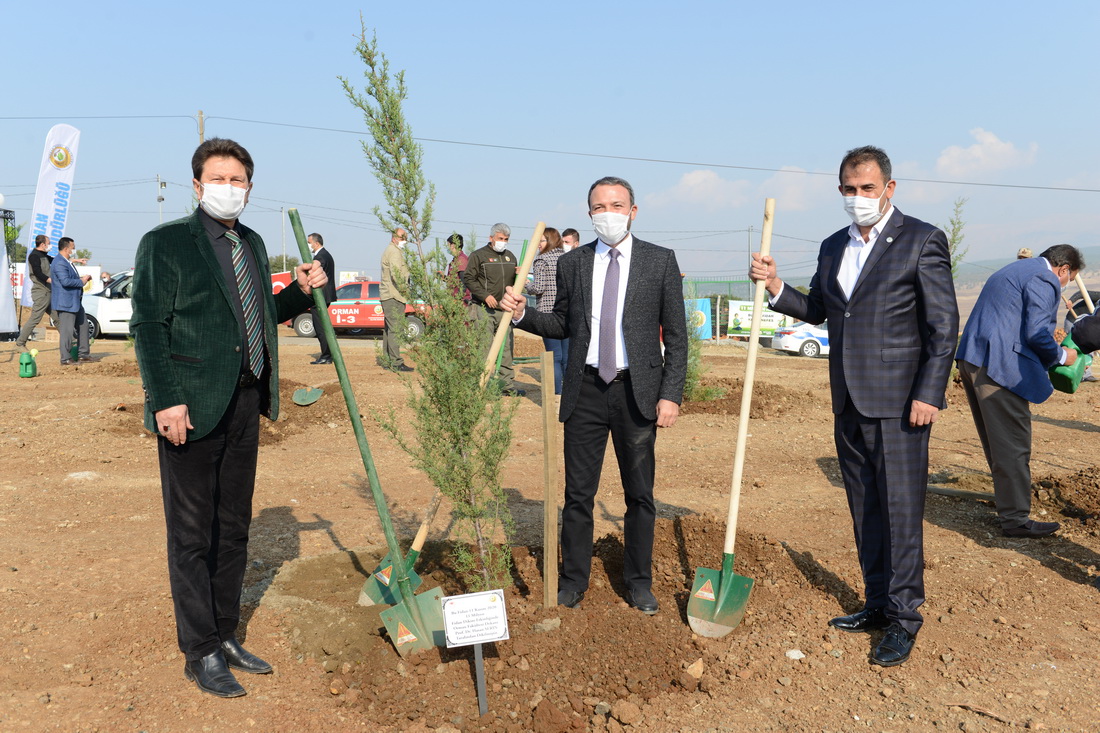 İçerikle ilgili görsel 3