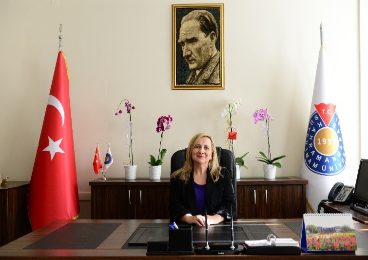 İçerikle ilgili görsel 2