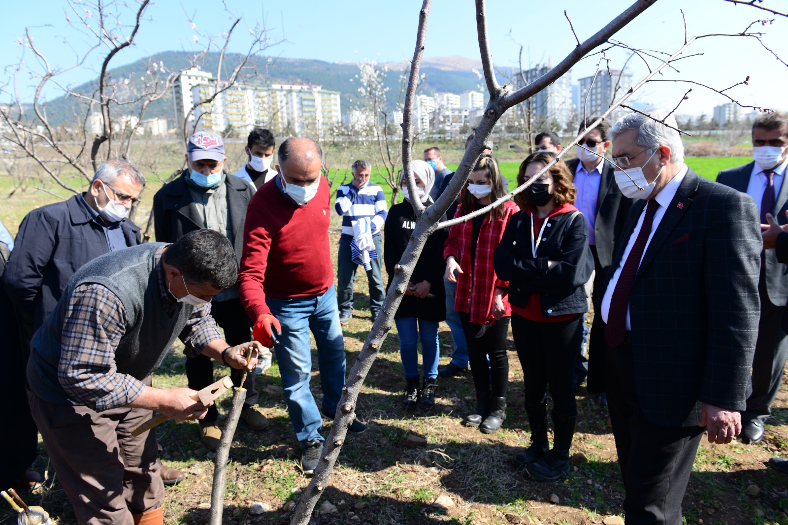 İçerikle ilgili görsel 5