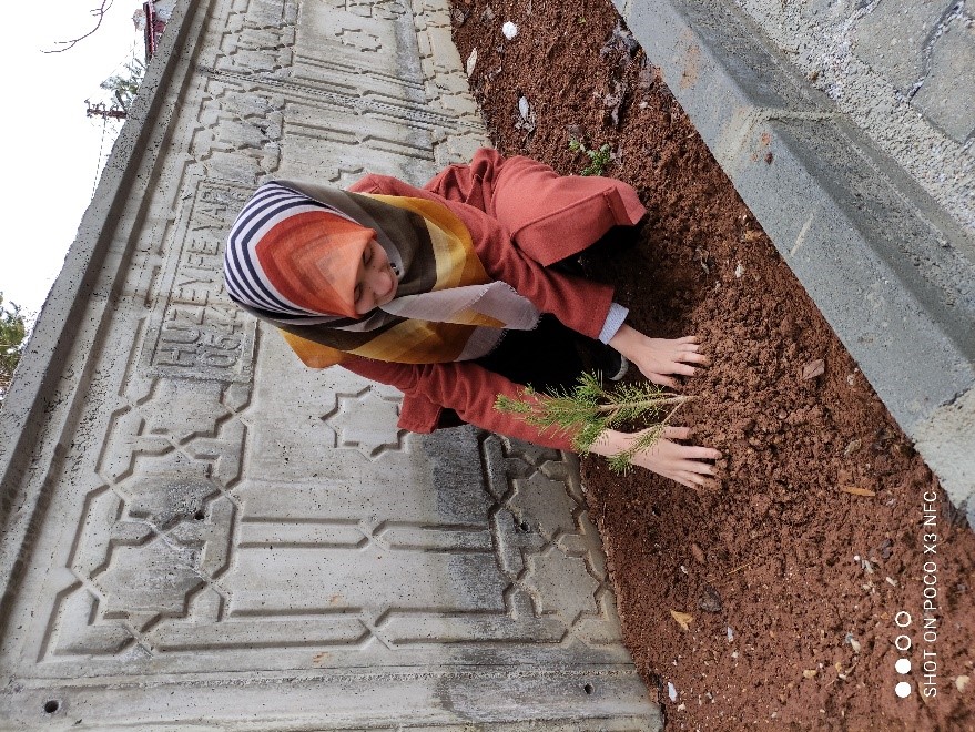 İçerikle ilgili görsel 6