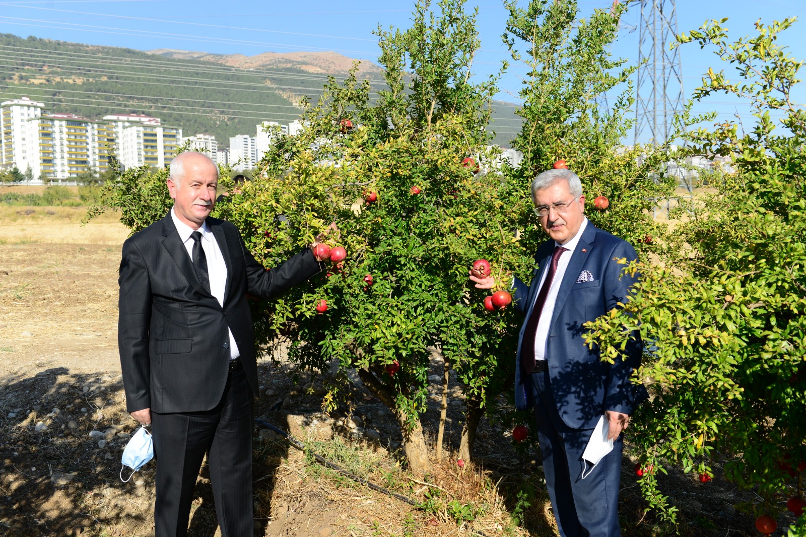 İçerikle ilgili görsel 4