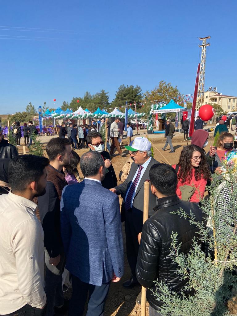 İçerikle ilgili görsel 1
