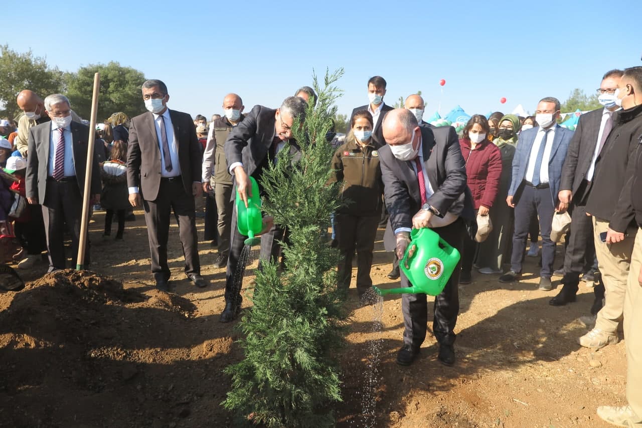 İçerikle ilgili görsel 8