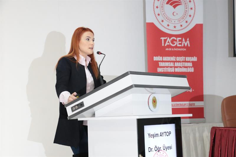 İçerikle ilgili görsel 2