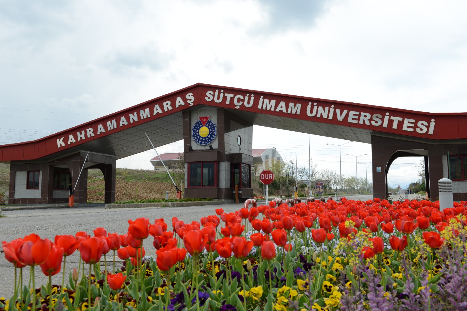 İçerikle ilgili görsel 2