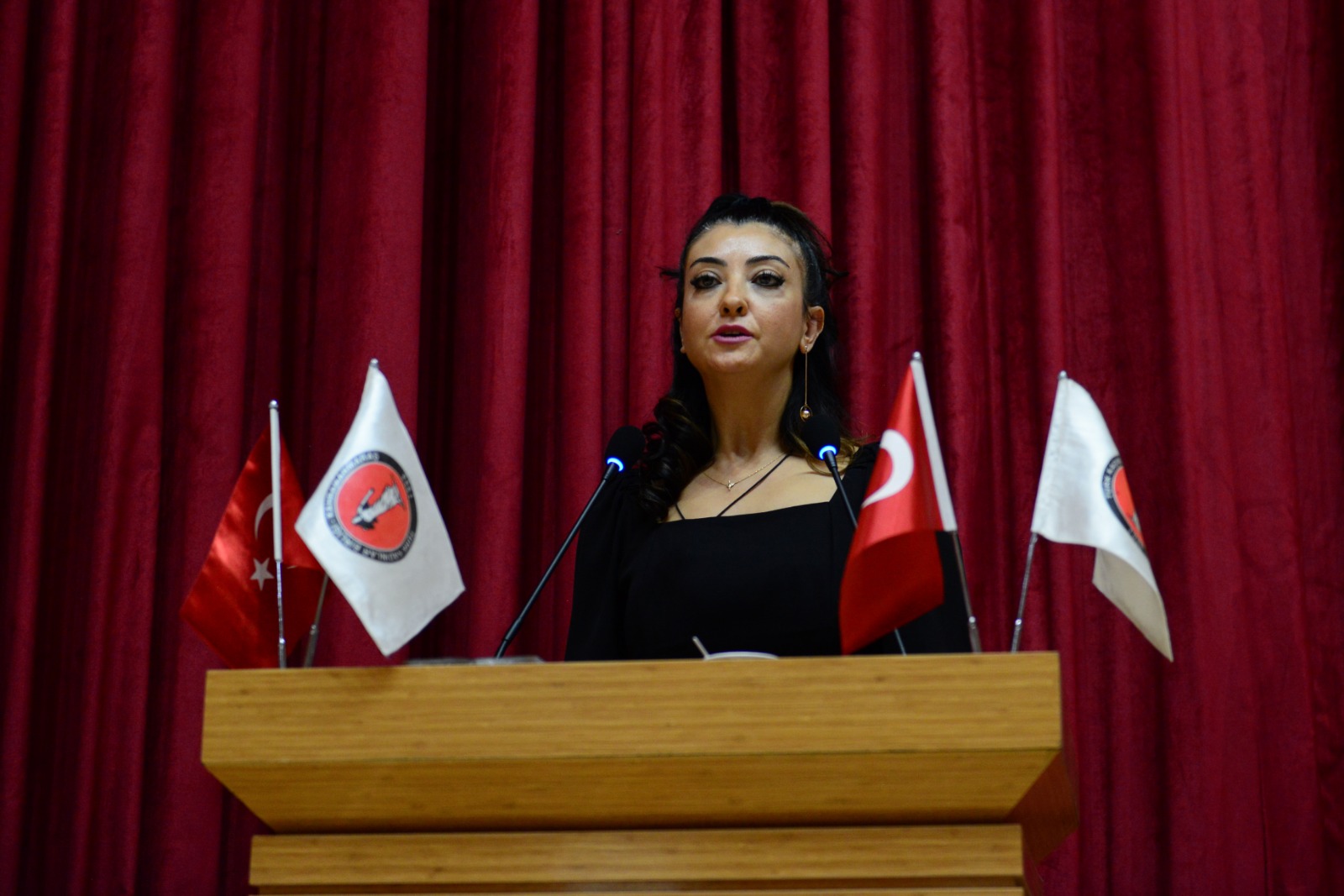 İçerikle ilgili görsel 11