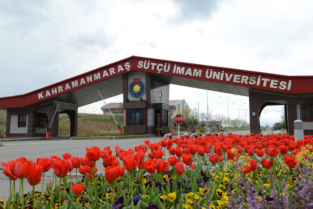 İçerikle ilgili görsel 1
