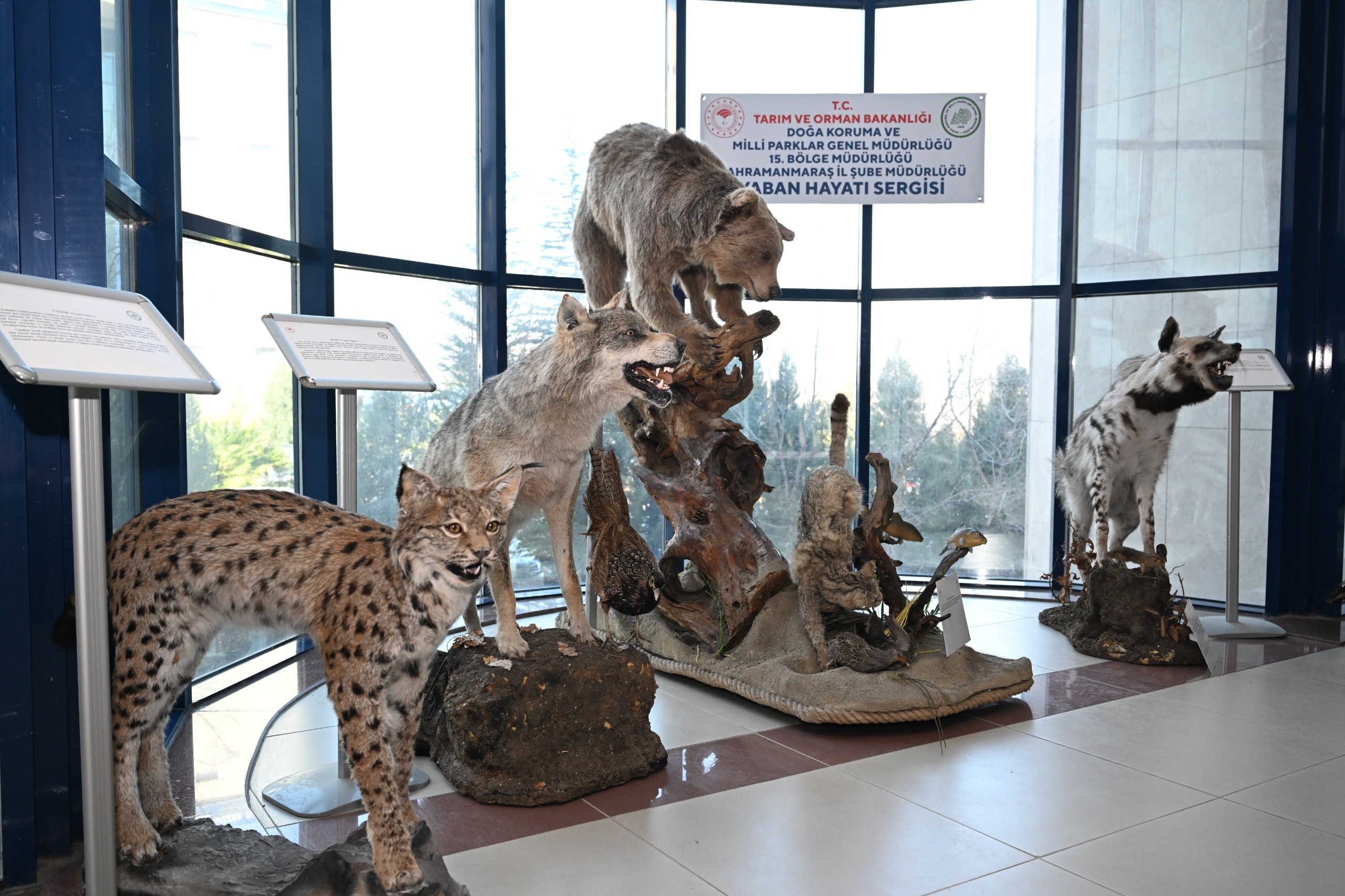 İçerikle ilgili görsel 5