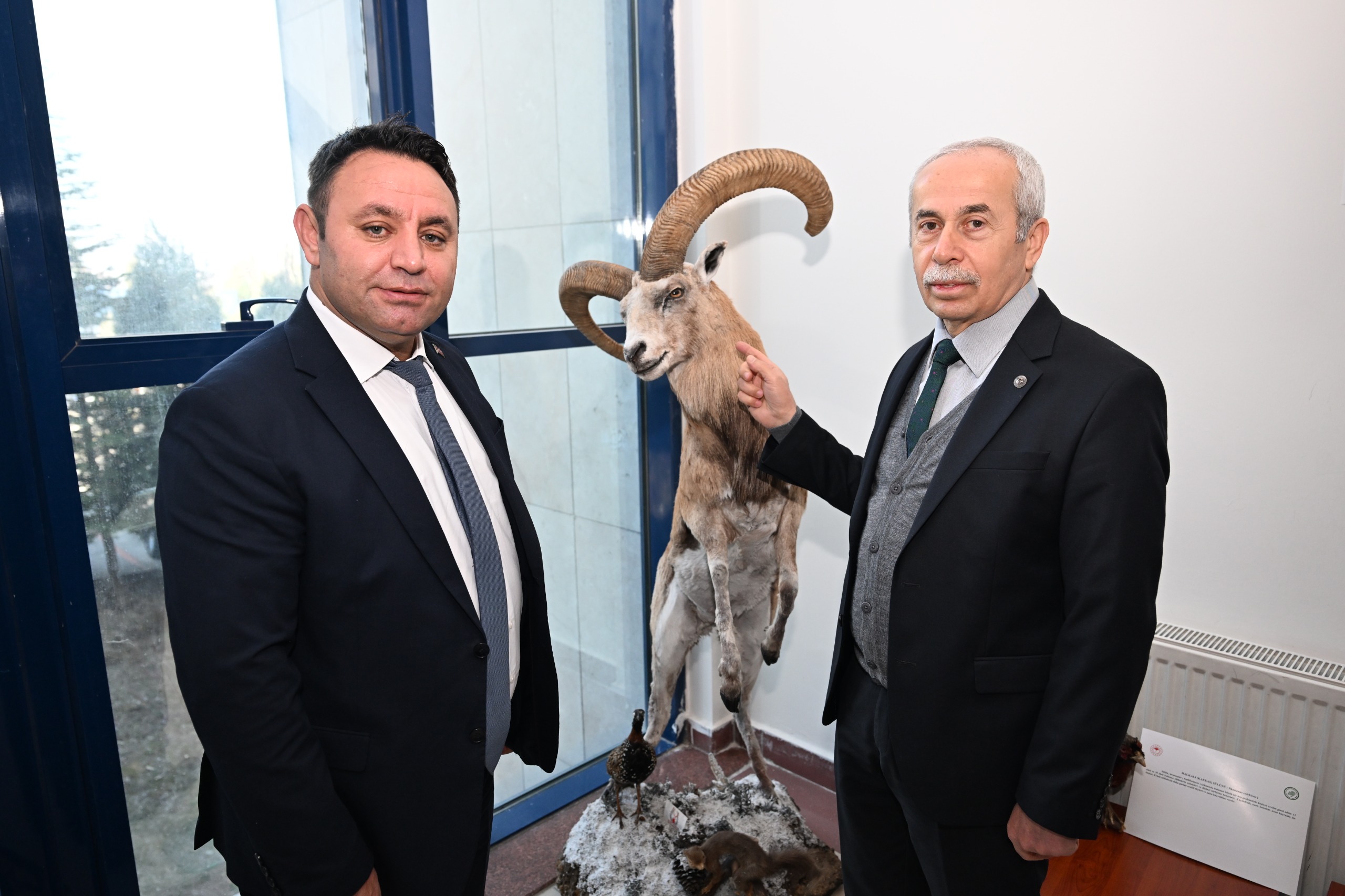 İçerikle ilgili görsel 6