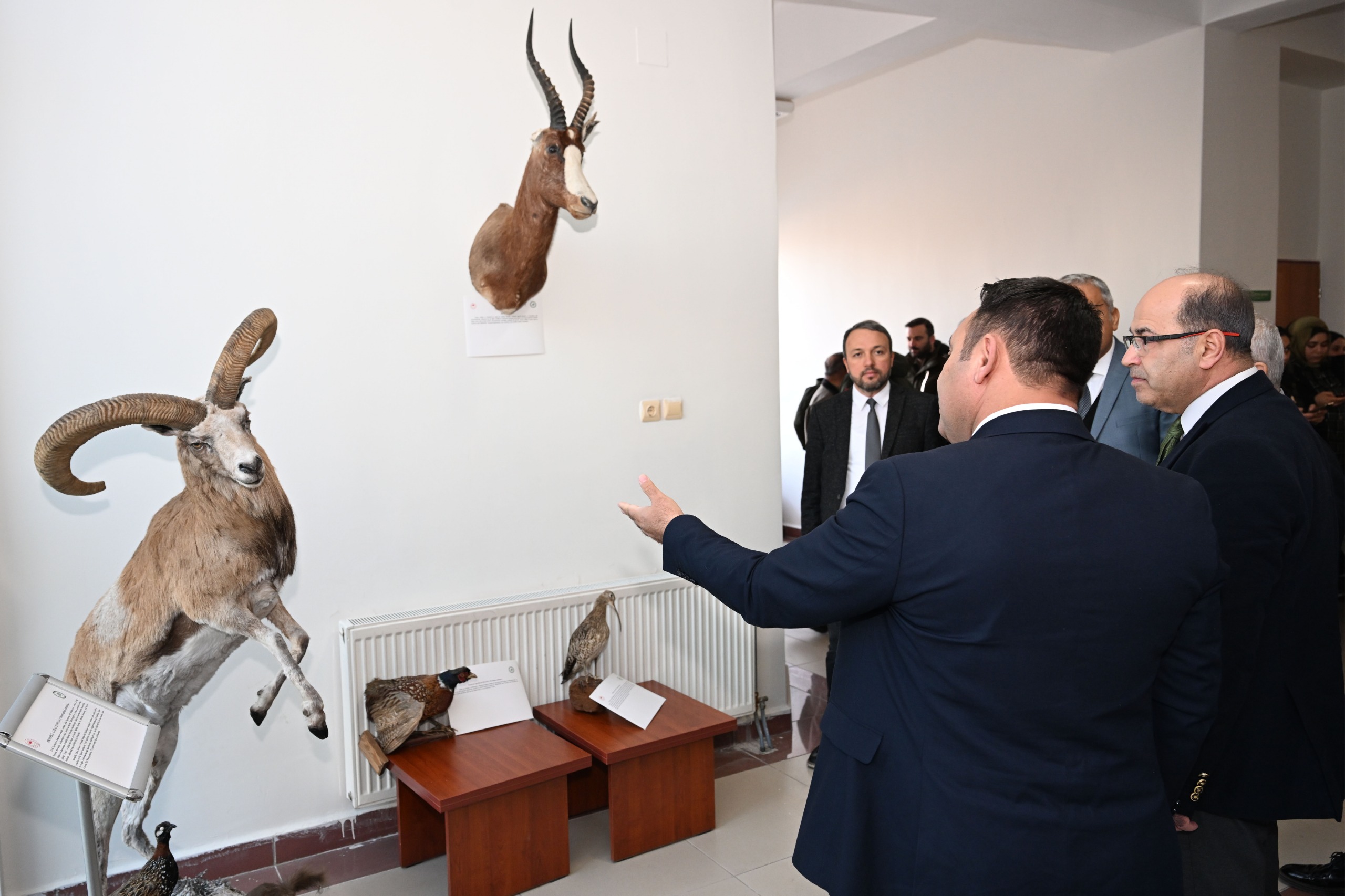 İçerikle ilgili görsel 7