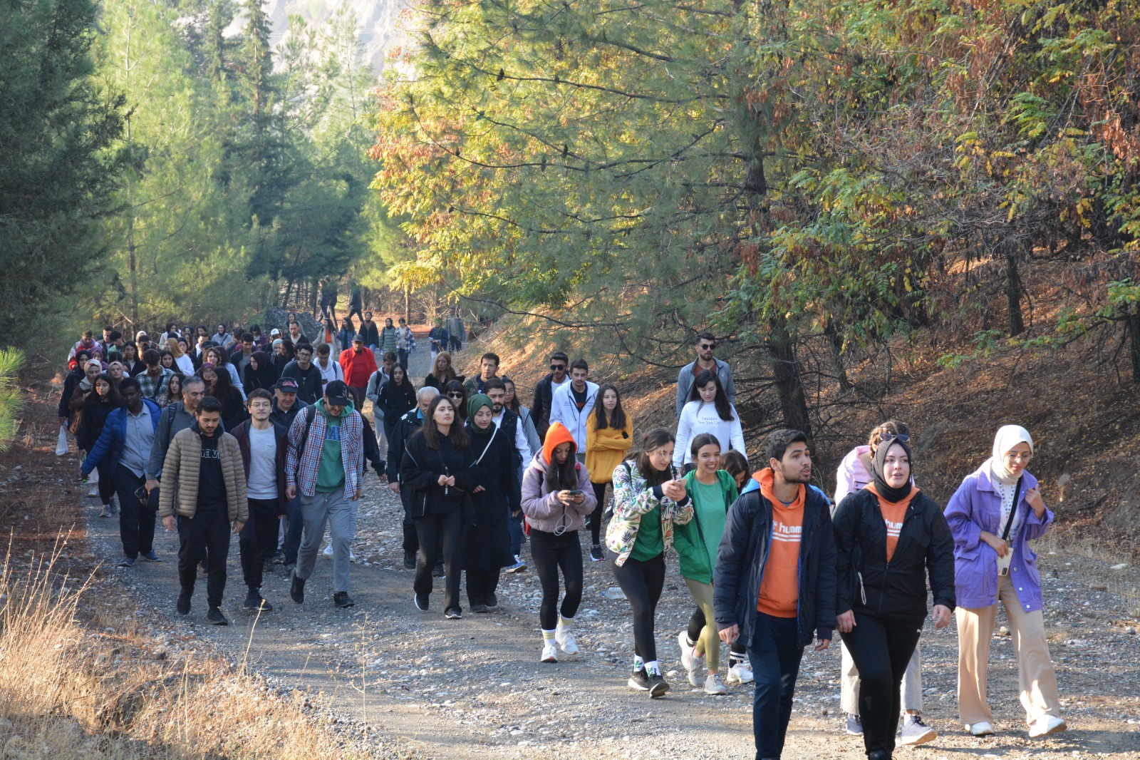 İçerikle ilgili görsel 9