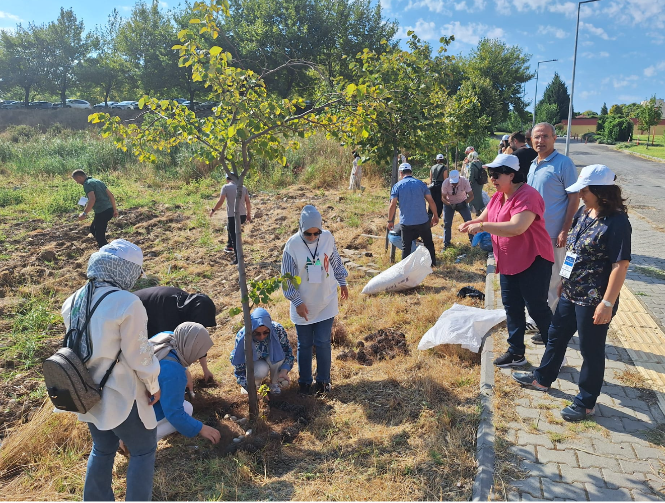 İçerikle ilgili görsel 3