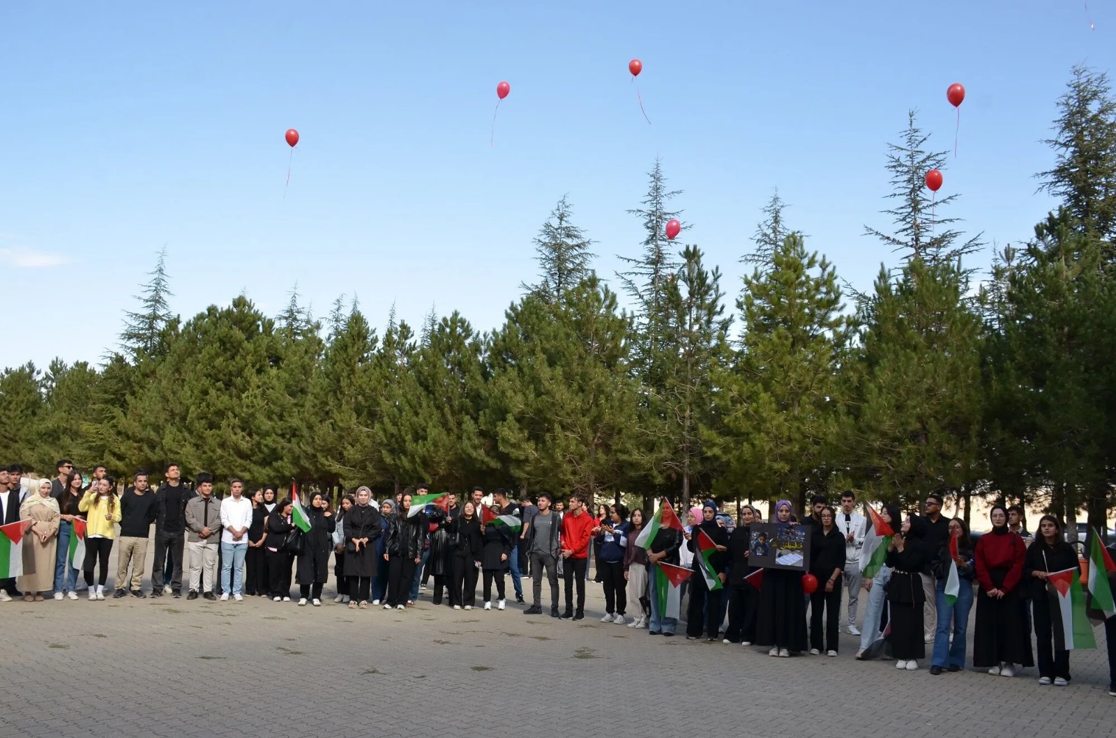 İçerikle ilgili görsel 9